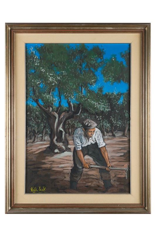 Walter Scotti - Farmer among the olive trees