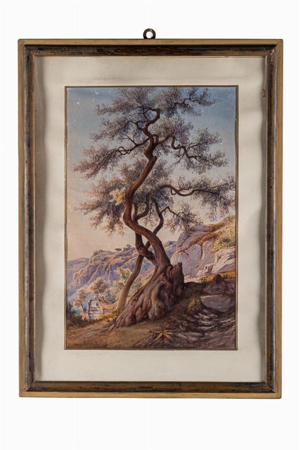 Glimpse of landscape with tree and rocks
