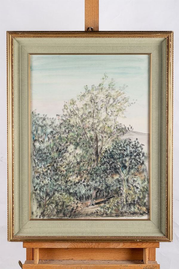 Domenico  Purificato - Tree with undergrowth