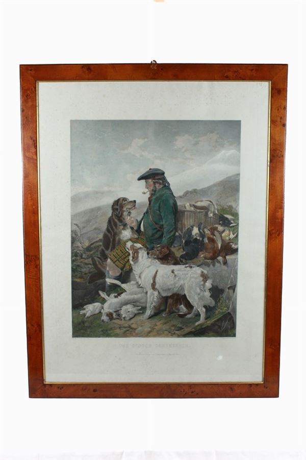Frederick Stackpoole - Coppia di stampe con cani da caccia