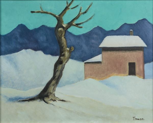Fiorenzo Tomea - Cadore Innevata